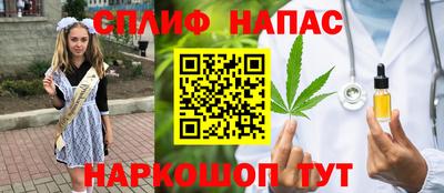 дживик Бийск