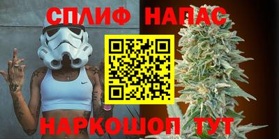 дживик Бийск